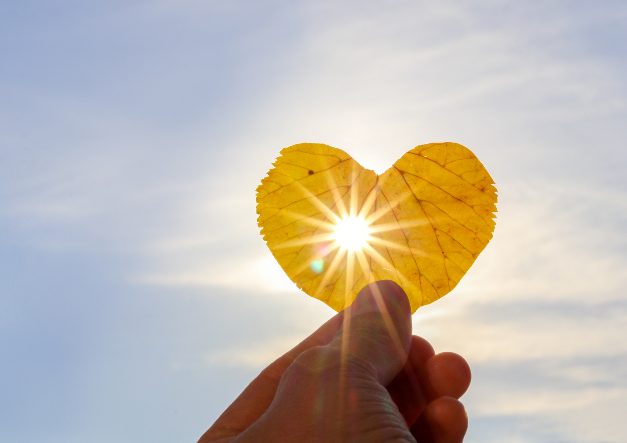 Setembro Amarelo: A Vida é um Propósito Único – E o Seu, Qual É